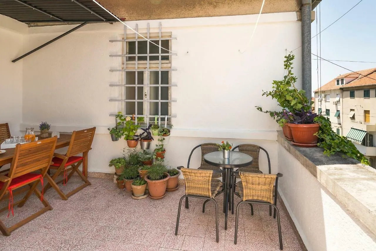 Apartment Dinka With Terrace contacts
